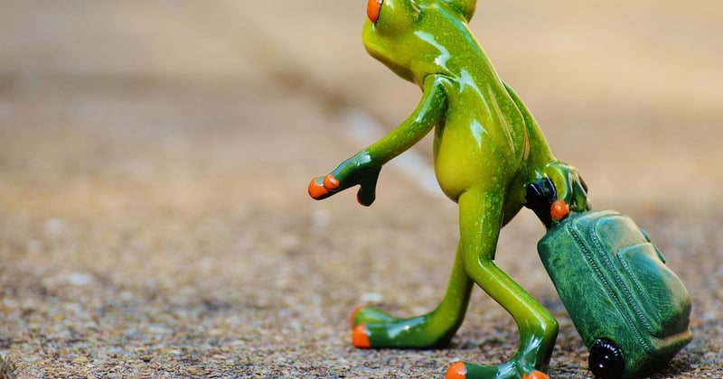 Voyager léger et respectueux : comment préparer sa valise écoresponsable