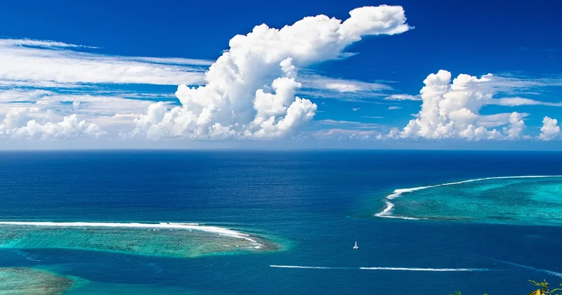 Quelle est la meilleure période pour voir des baleines à Moorea ?