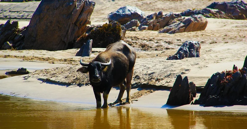 Pourquoi ces dix destinations et pas d'autres
