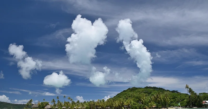Quelle est la saison des baleines à Tahiti en 2026 ?