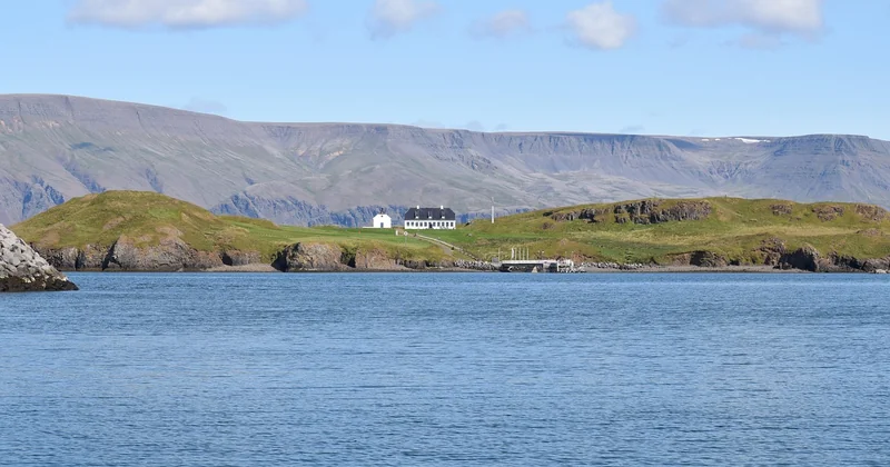 Où manger bio à Reykjavík : les pistes qui tiennent debout