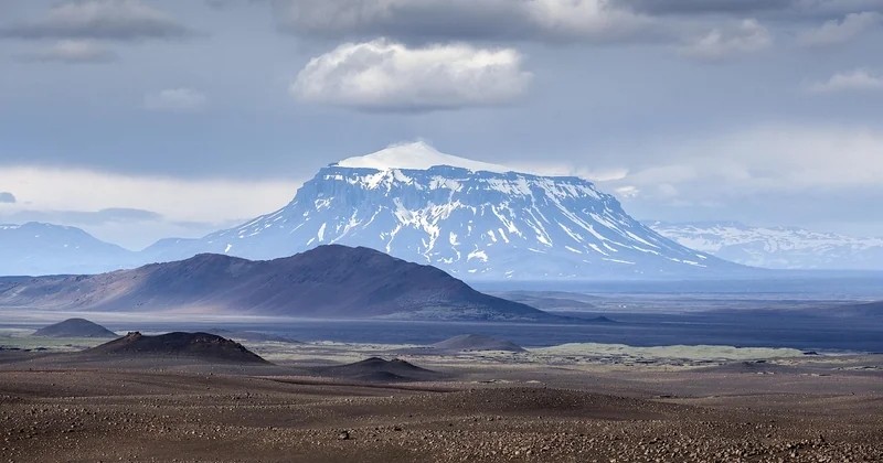 Pourquoi y a-t-il si peu de restaurants certifiés bio en Islande ?