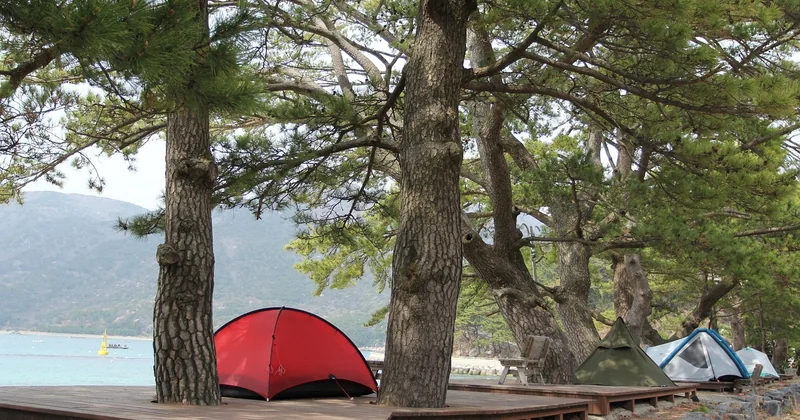 Dortoirs, camping et autres astuces pour réduire la note